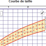 courbe-de-taille