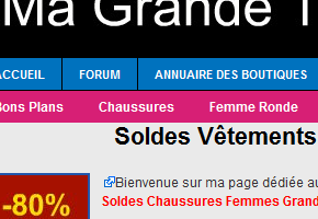 soldes mgt Date des Soldes dété 2009 (premier jour des soldes et dernier jour des soldes)