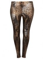treffinf panthere 147x200 Evans autumn 2009 : Tendances de mode plus size  !