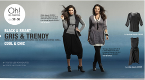 gris_et_trendy gris et trendy 290x161 3Suisses Oh! Les Formes automne 2009 : Tendances de mode grande taille !