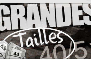 grandes tailles spartoo Grande Pointure