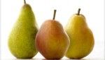 morphologie en poire