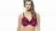 lingerie grande taille
