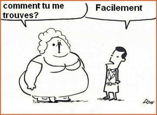 Blagues sur les gros : les meilleurs dessins