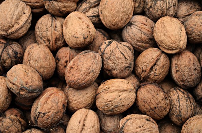 des noix des amandes des noisettes bonnes pour la santé du coeur