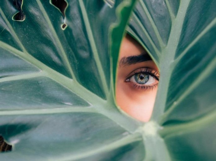 5 recettes beauté 100 % naturelles avec de laloe vera