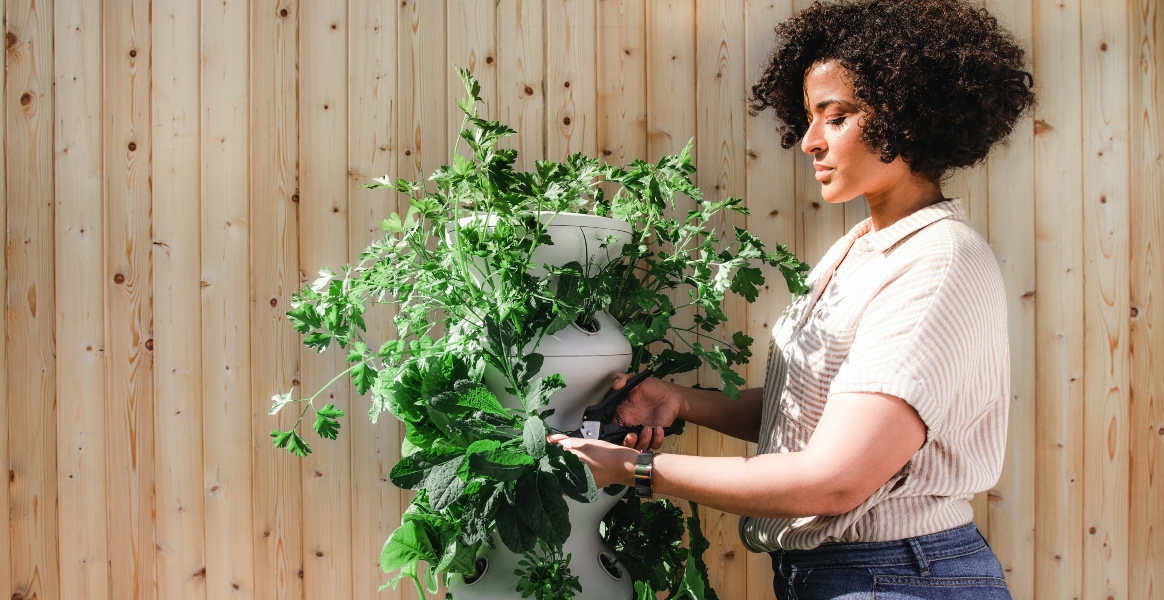 10 plantes d'intérieur à choisir quand on n'a pas la main verte 