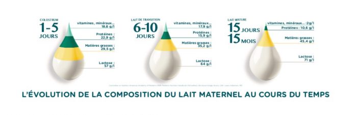 evolution lait maternel