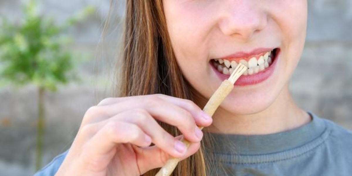 BÂTON DE SIWAK - BROSSE À DENTS NATURELLE