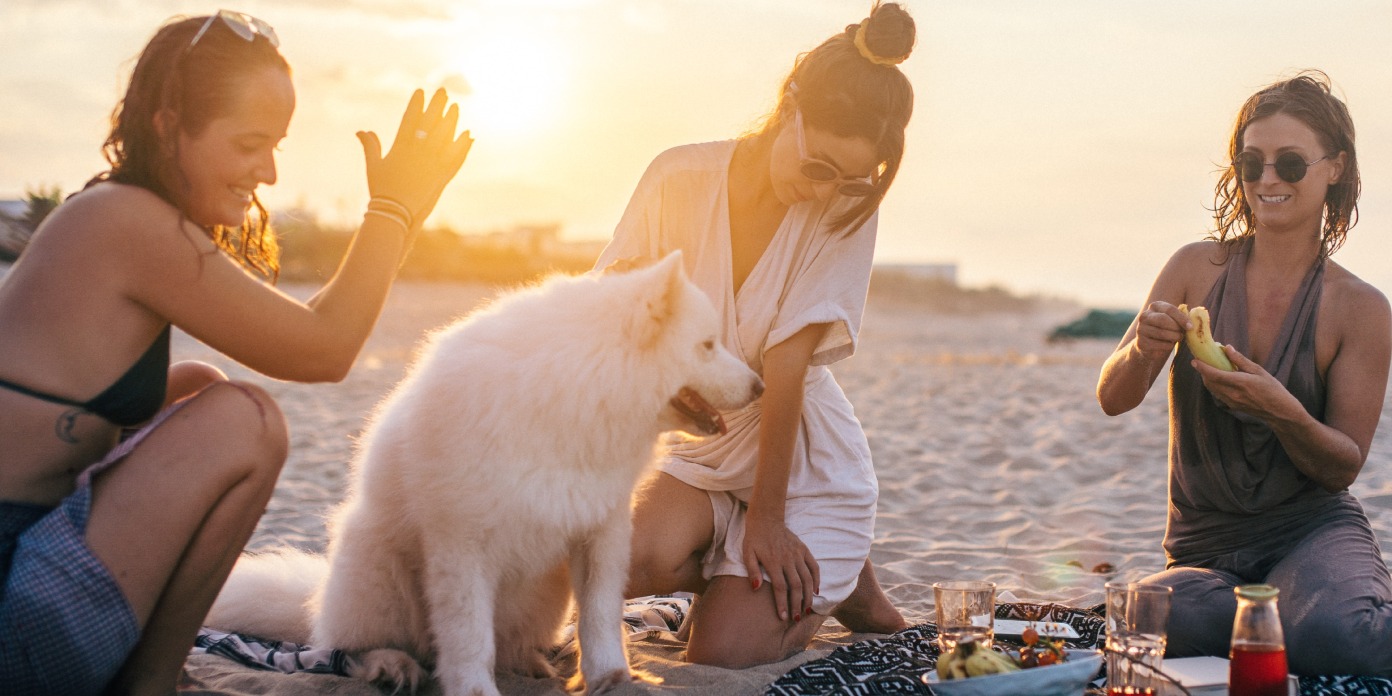 destinations dog friendly Europe pour partir en vacances avec son chien