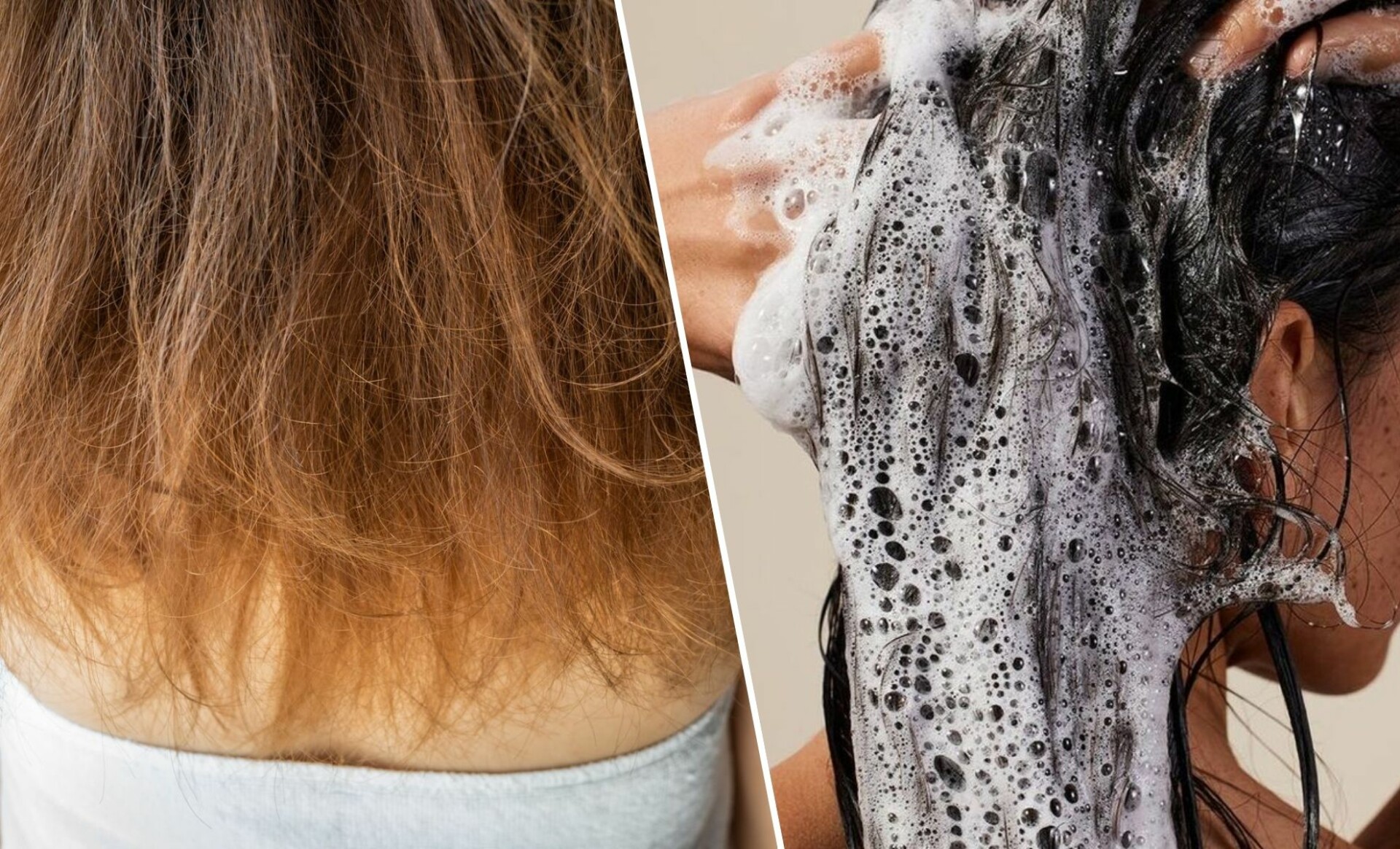 Attention ! Votre shampoing pourrait assécher vos cheveux l'erreur capillaire à éviter !