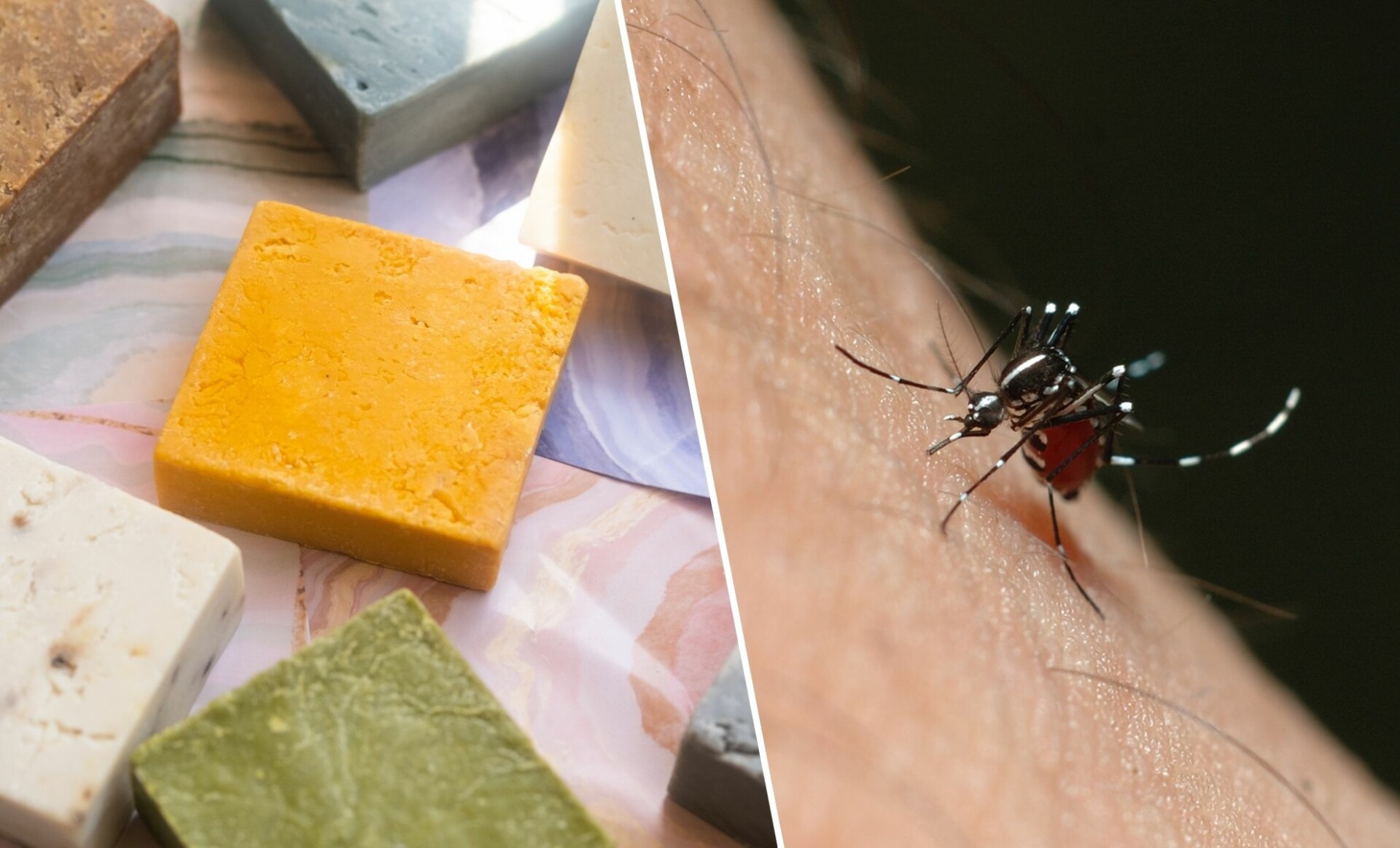 Savon anti-moustiques une senteur irrésistible pour une protection naturelle !