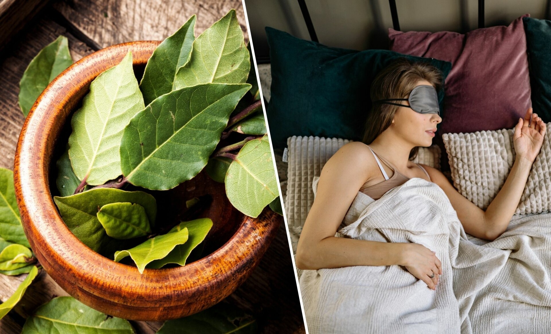Trouble du sommeil Découvrez le secret des feuilles de laurier pour des nuits réparatrices !