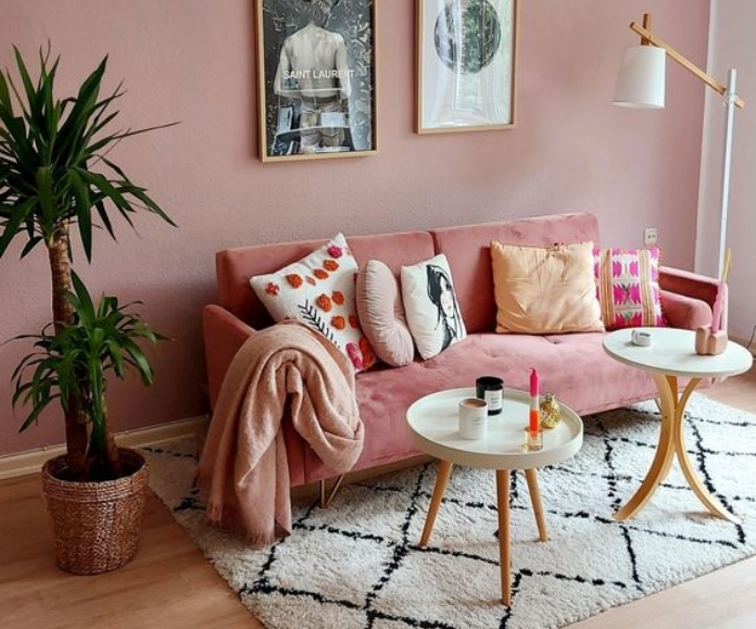 Salon aux meubles roses