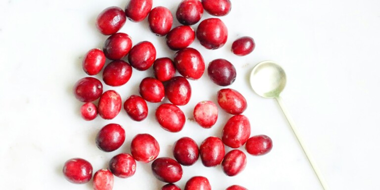 Cranberry (canneberge) : plongez dans les bienfaits de ce superfruit pour une santé éclatante