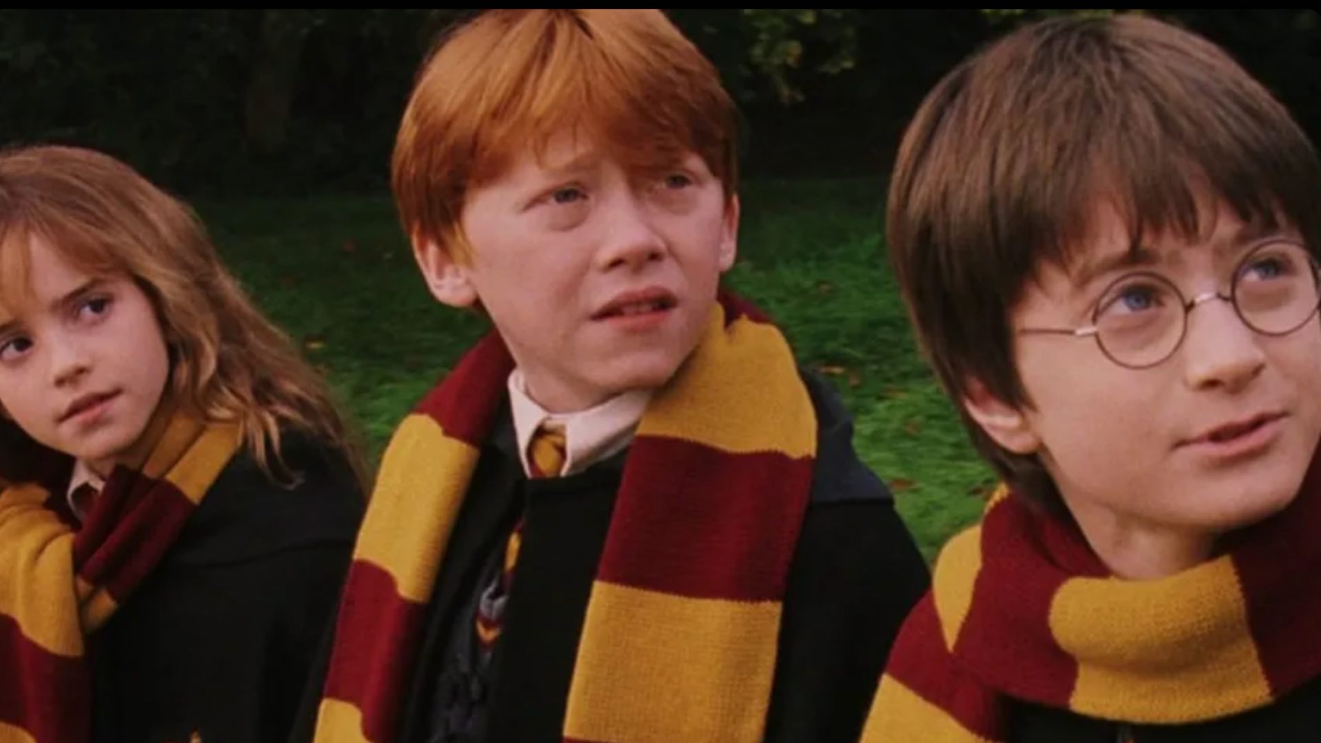 série harry potter