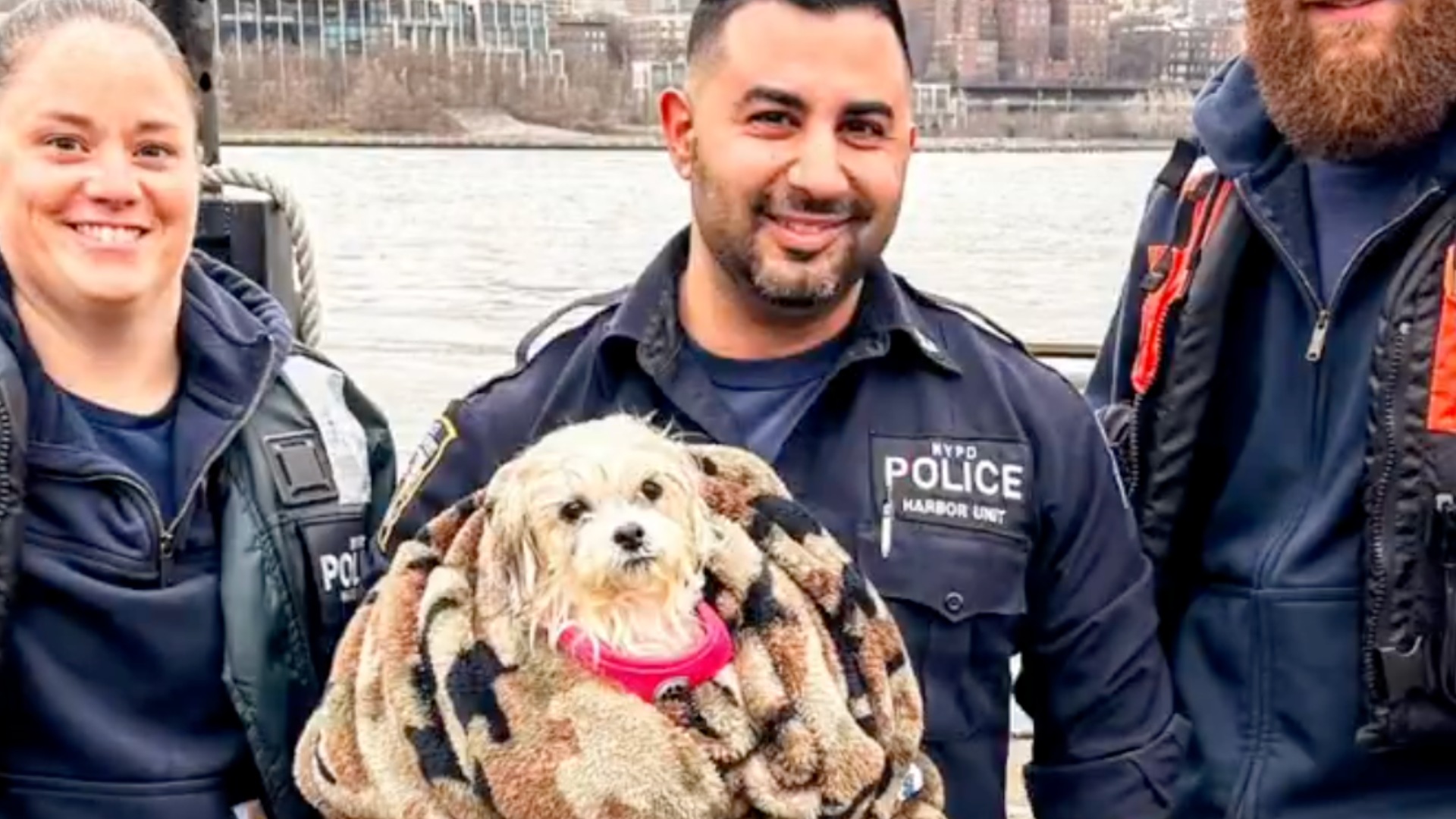 sauver chien noyade policier