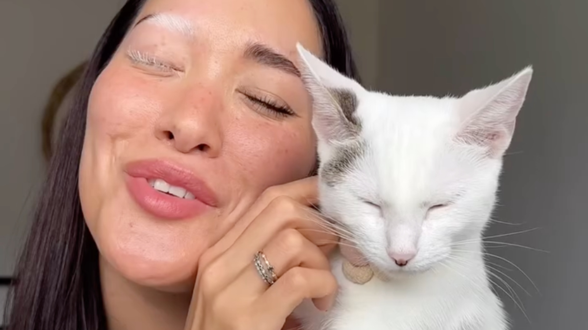 vitiligo oeil ressemblance avec chat