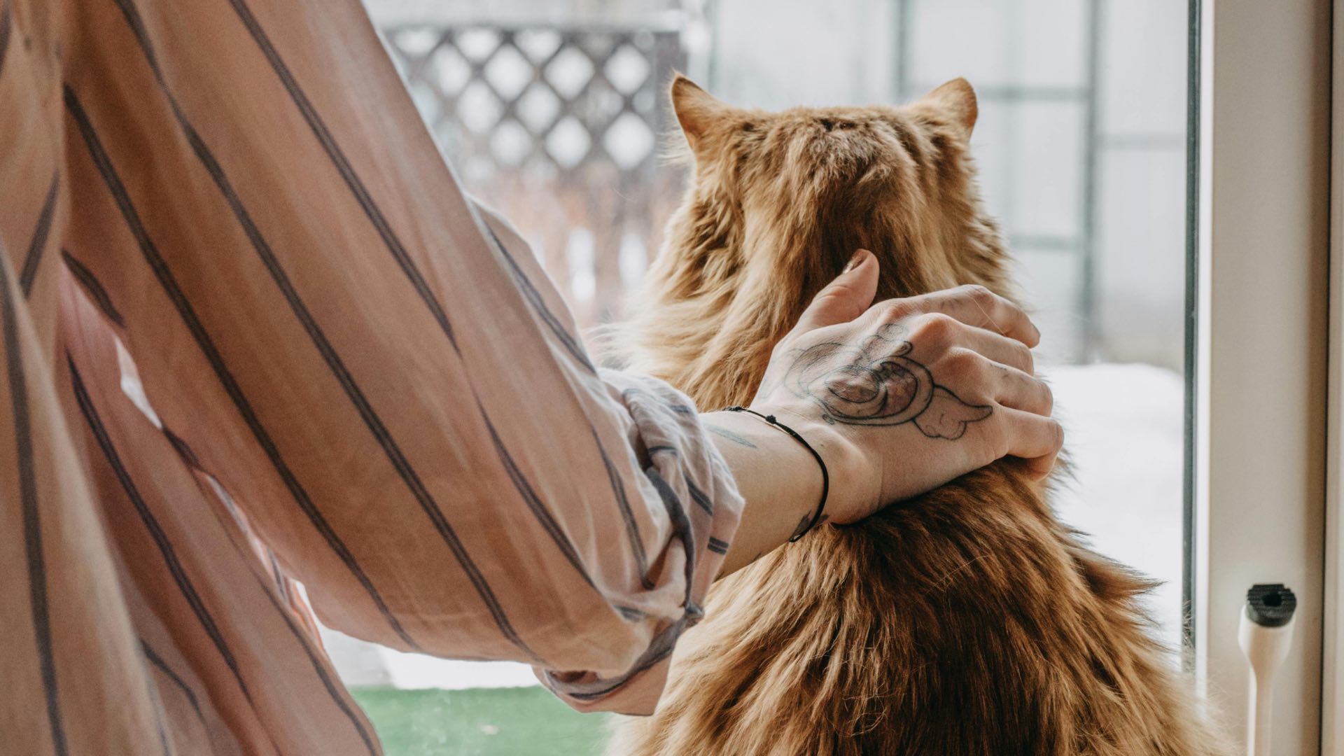 Dmitriy Ganin _ Pexels