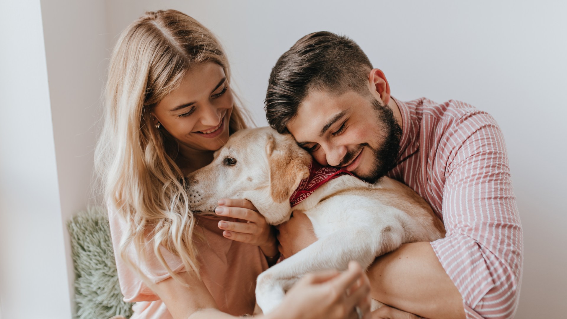 Animal dans le couple bienfaits