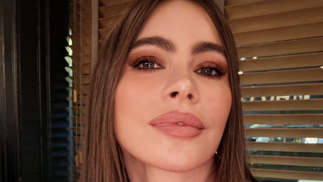 "Ela está envelhecendo lindamente": Sofia Vergara brilha em um look minimalista e chique.