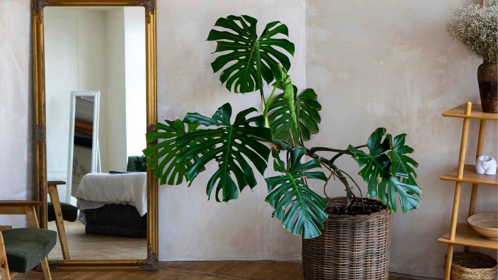 miroir dans l'entrée