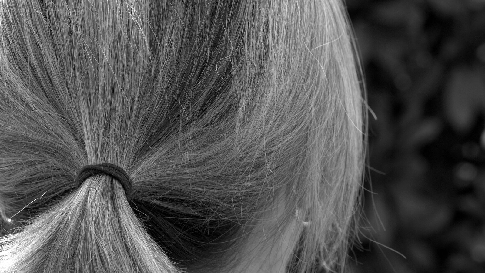 Des cheveux gris attachés en queue de cheval, vus de dos en gros plan